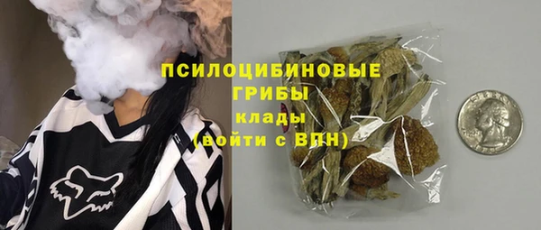 PSILOCYBIN Бородино