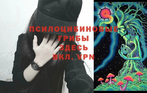PSILOCYBIN Бородино