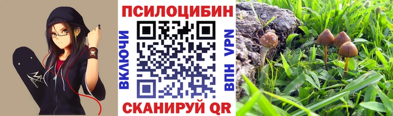 где продают наркотики  Городец  Псилоцибиновые грибы MAGIC MUSHROOMS 